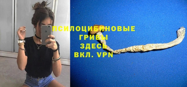 ГАЛЛЮЦИНОГЕННЫЕ ГРИБЫ Саяногорск